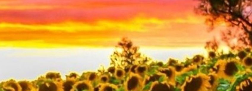 DrivingMayhem banner