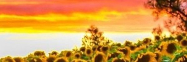 ChiefsofMayhem Profile Banner