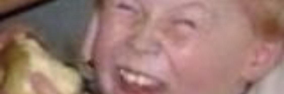 PalaceSteve_'s profile banner image