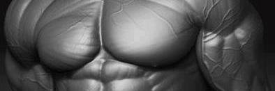 DutchMuscleStud's profile banner image