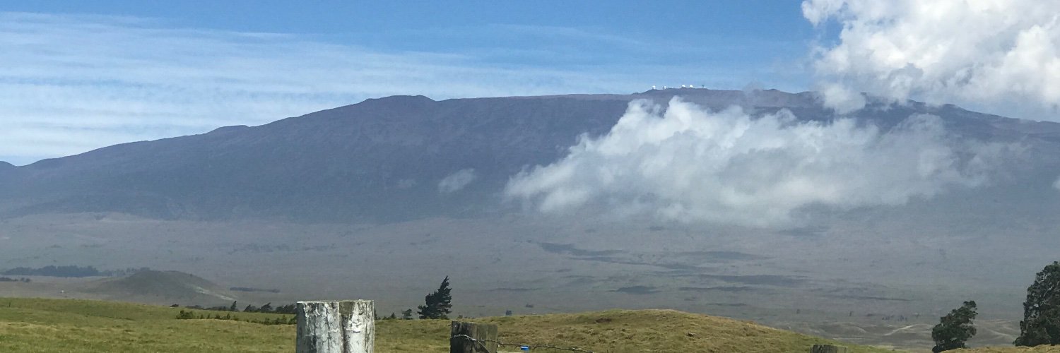 Dr. Ngọc T. Phan banner