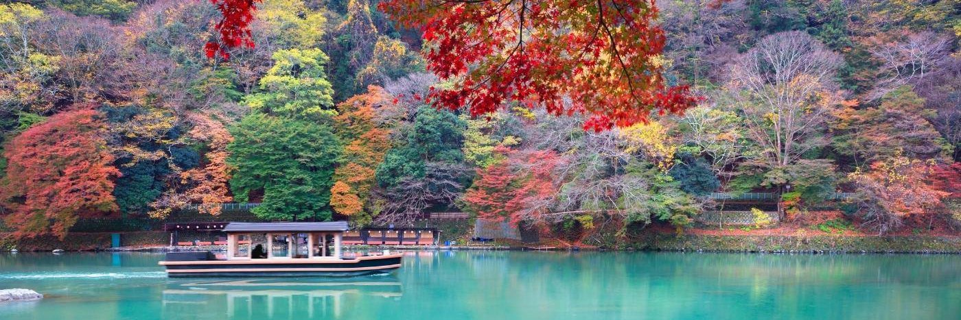 Demétera 🚩 🇵🇸 banner