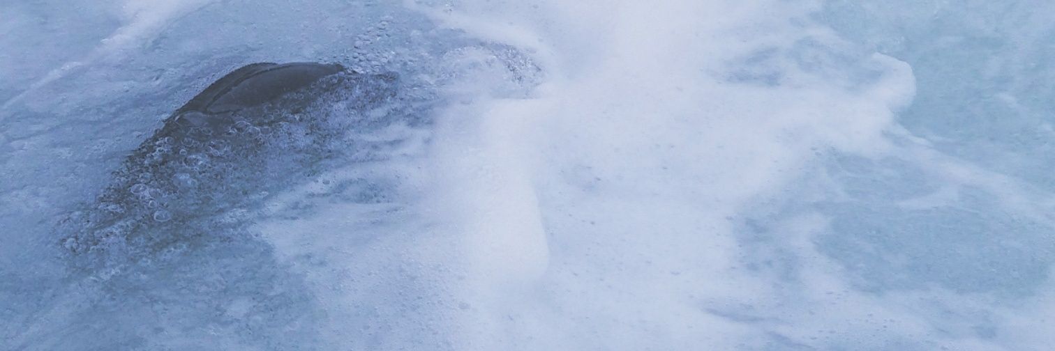 AegieRex's profile banner image