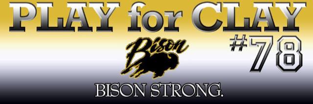 Bison Pride banner