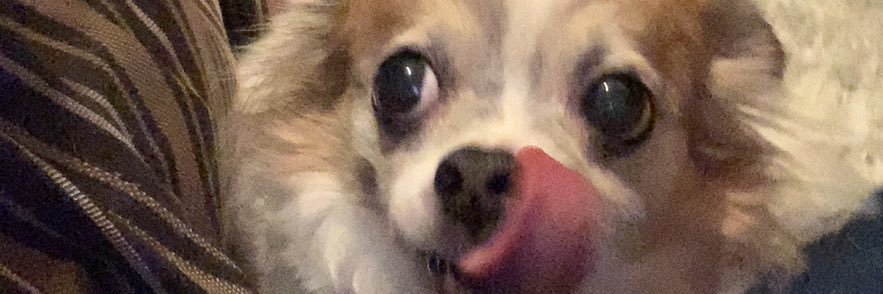 CASH_chis's profile banner image
