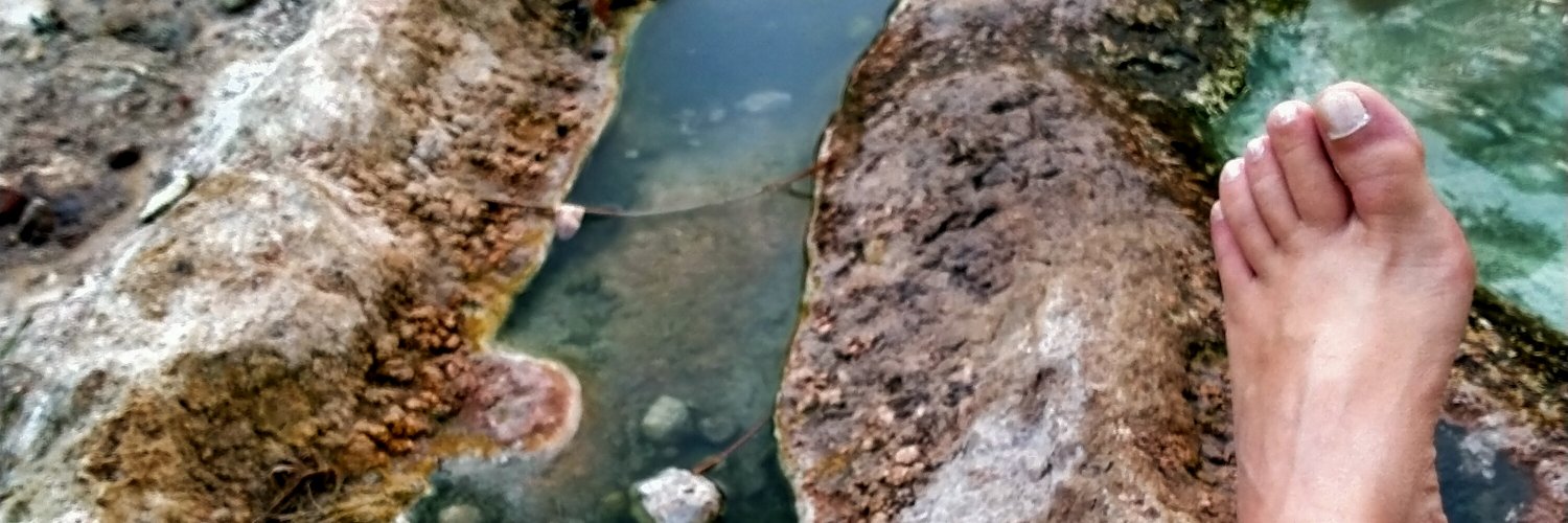 PHellison's profile banner image