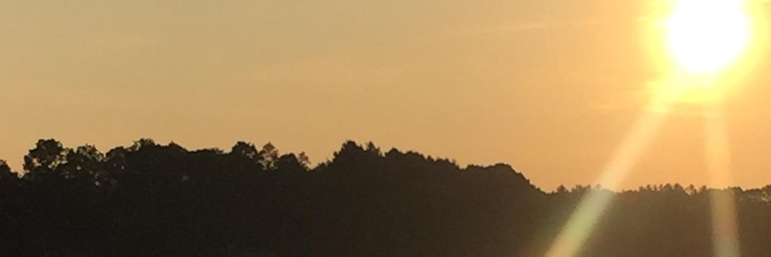 chrstybrwn's profile banner image