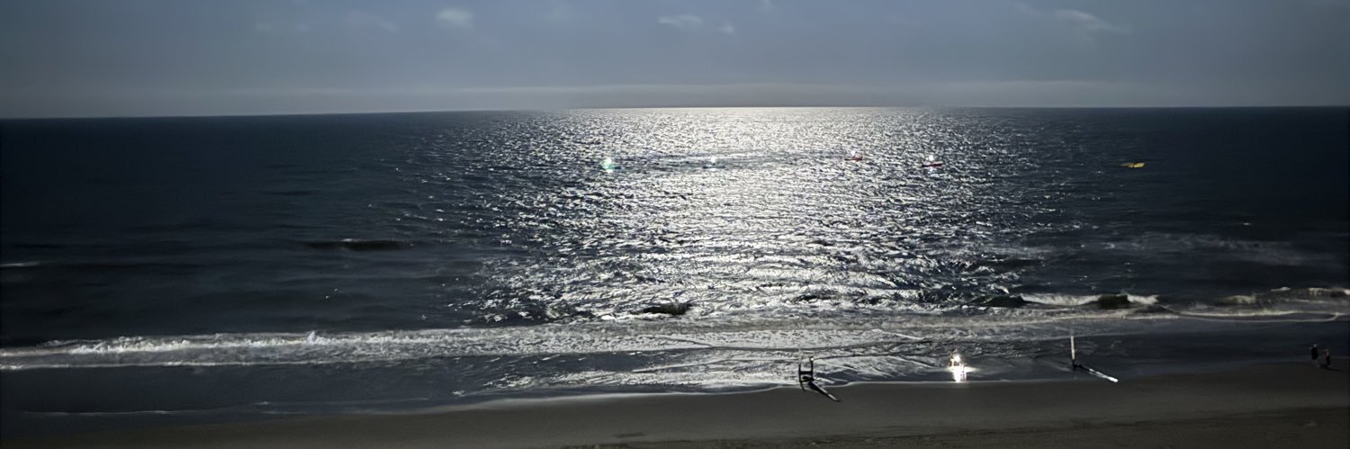 💙💙baseballsusan.bsky.social💙💙 banner