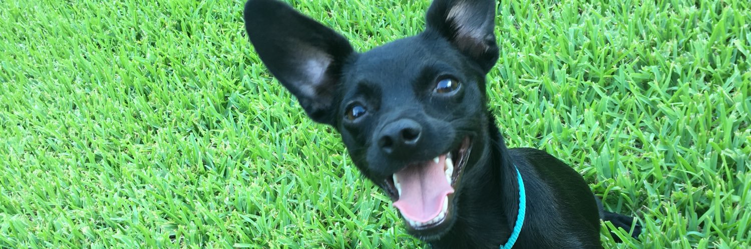 jaferguson23's profile banner image