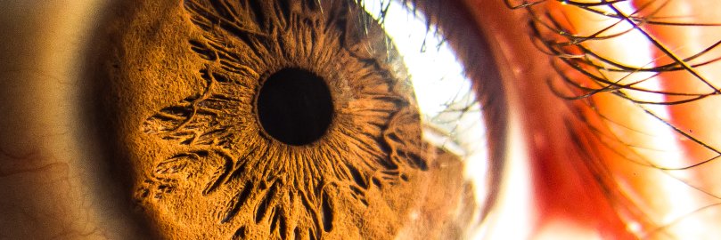 AlanFLucero's profile banner image
