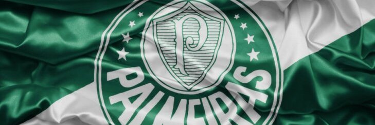 mchelinha0's profile banner image