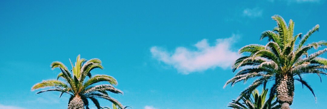 abigailrose35's profile banner image