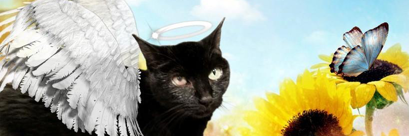 jonette810's profile banner image