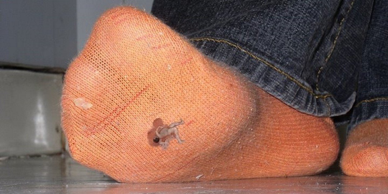 Bugman25Bugman's profile banner image