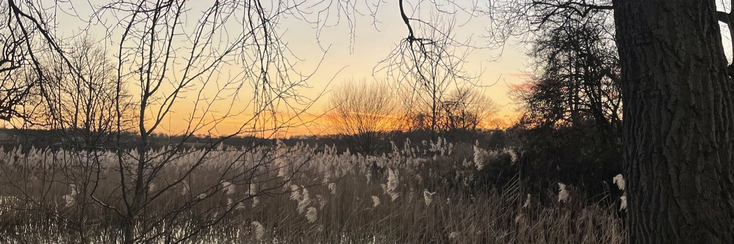 caitlynbelshaw's profile banner image