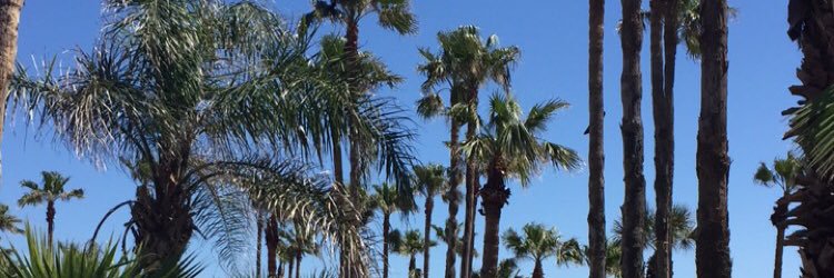 annaholland7's profile banner image