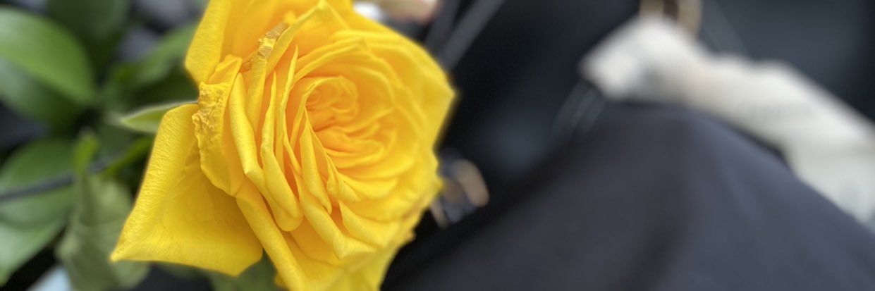 besho_5151's profile banner image