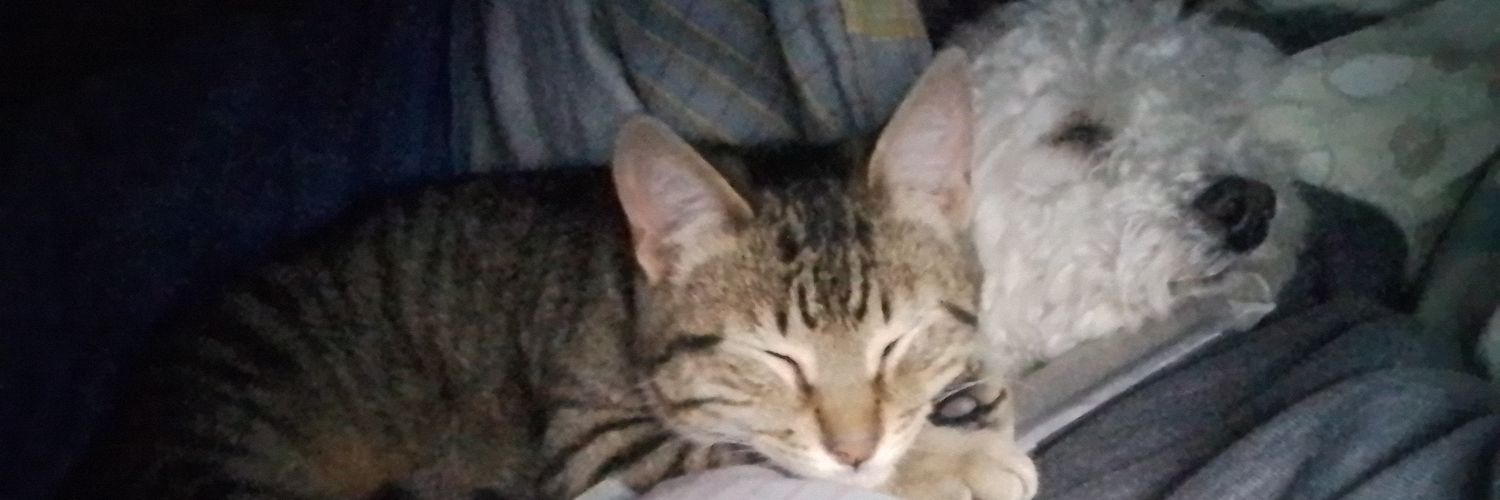 MiliLemaa's profile banner image
