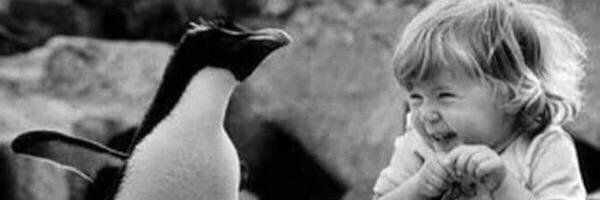 María Didece banner