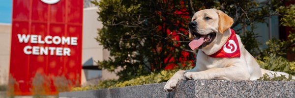 SinclairCC Profile Banner