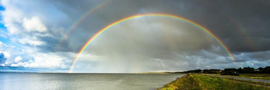 rainbowgram_WP's profile banner image