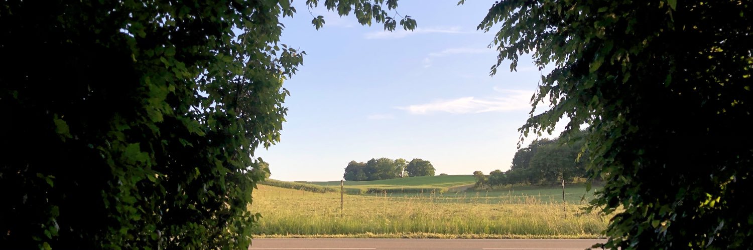 el_schmitz's profile banner image