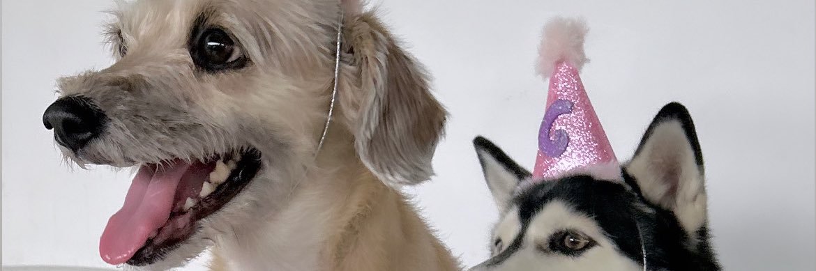 Melinalaaz's profile banner image