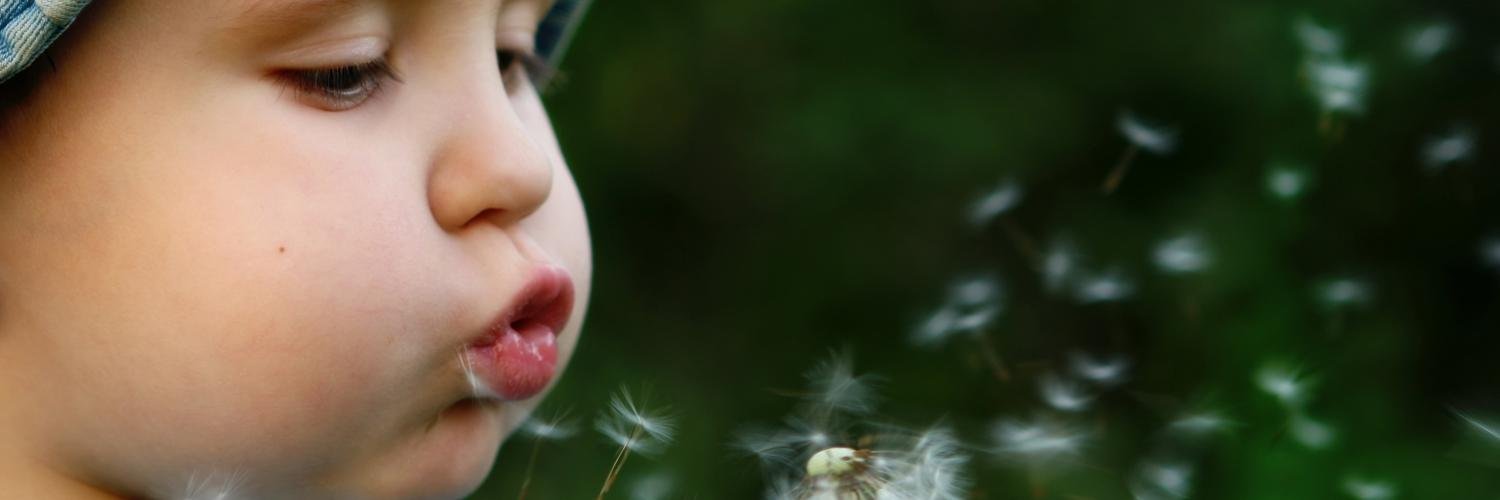 Illinois Moms banner