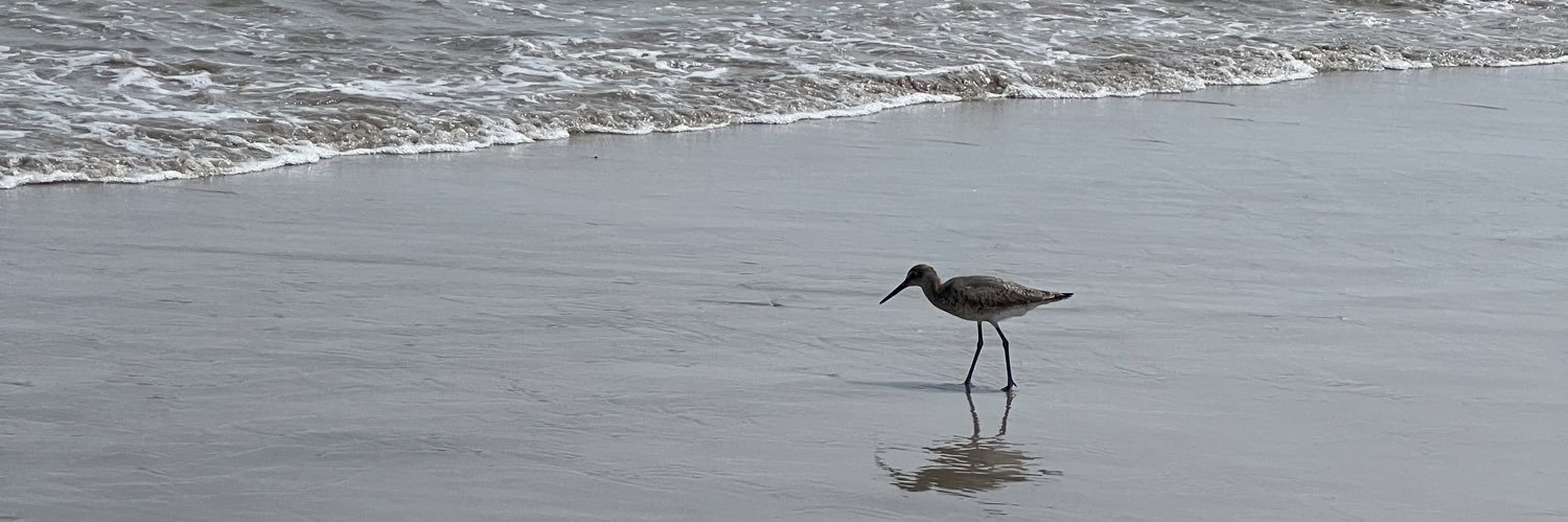 Heather Nance banner