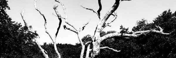 SiriusDrakeCGBI Profile Banner