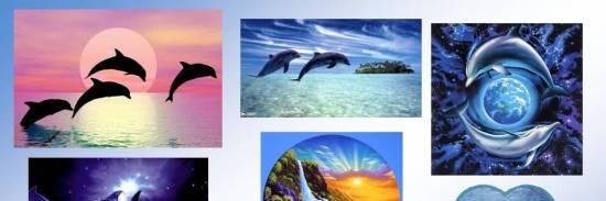 tamydelfines's profile banner image