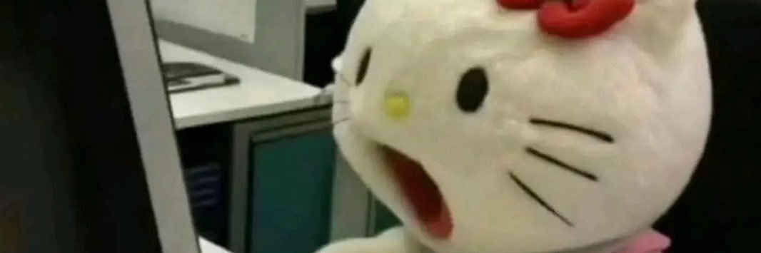 rwlldno_'s profile banner image