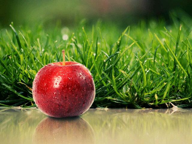 Vision_charity's profile banner image