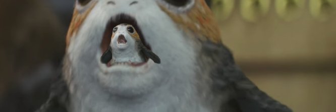 Nuk____'s profile banner image