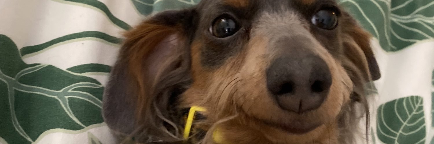 absmags's profile banner image