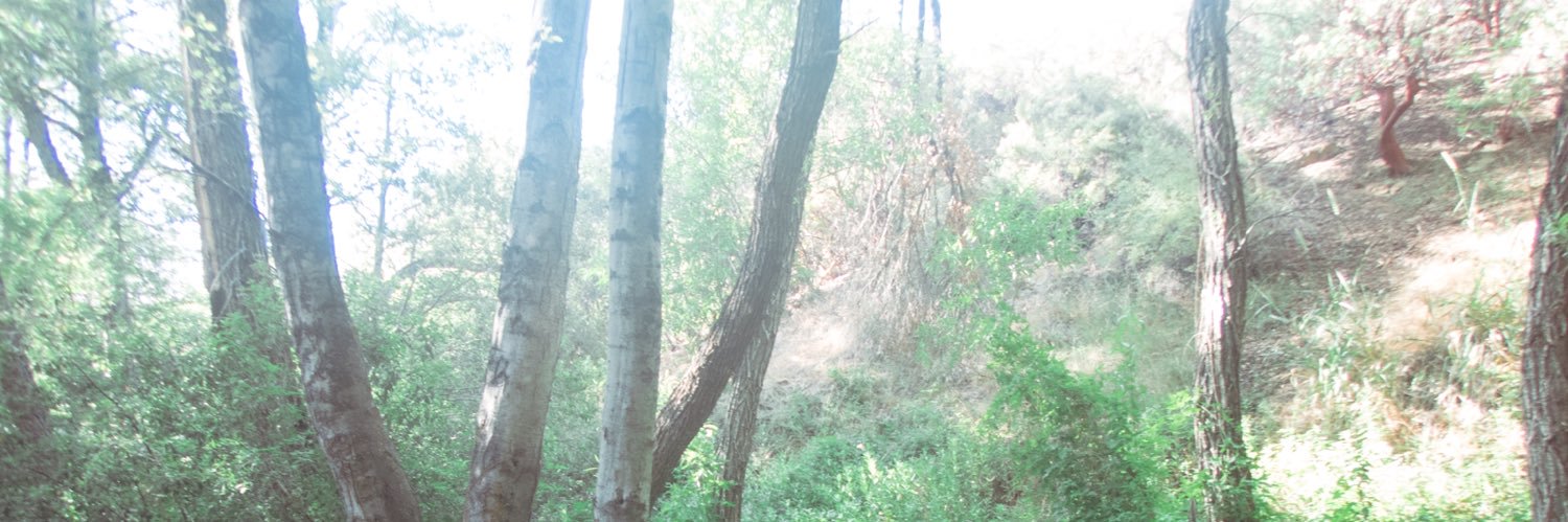 chloe banner