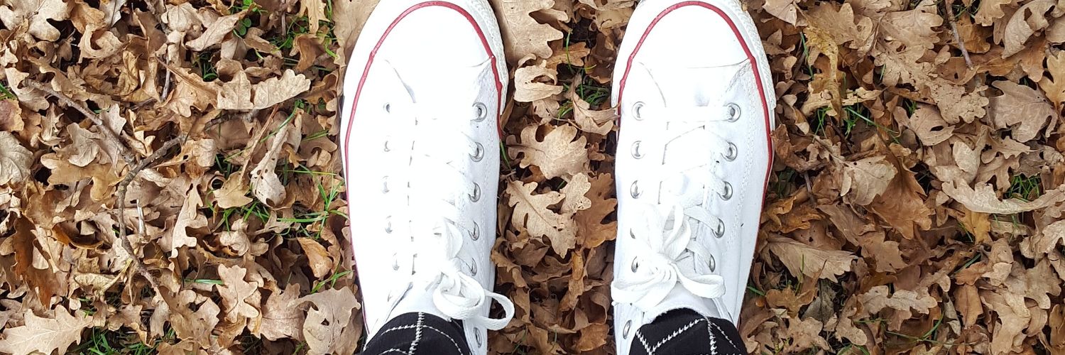 Staceyhoffmann_'s profile banner image