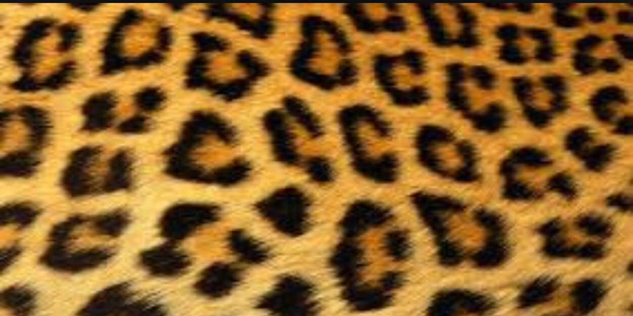 FabolousLife86's profile banner image