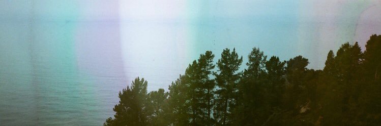 averylllayne's profile banner image