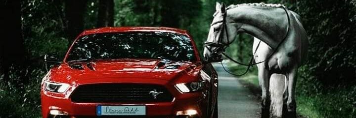 M__auwal's profile banner image