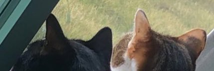 Ciera_9's profile banner image