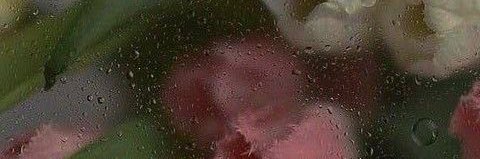 shskr__'s profile banner image