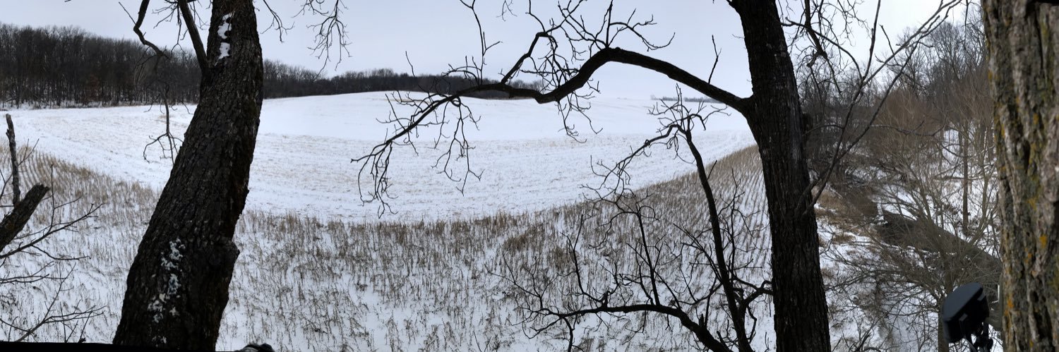 MiFieldGuy's profile banner image