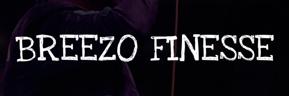 breezofinesse's profile banner image
