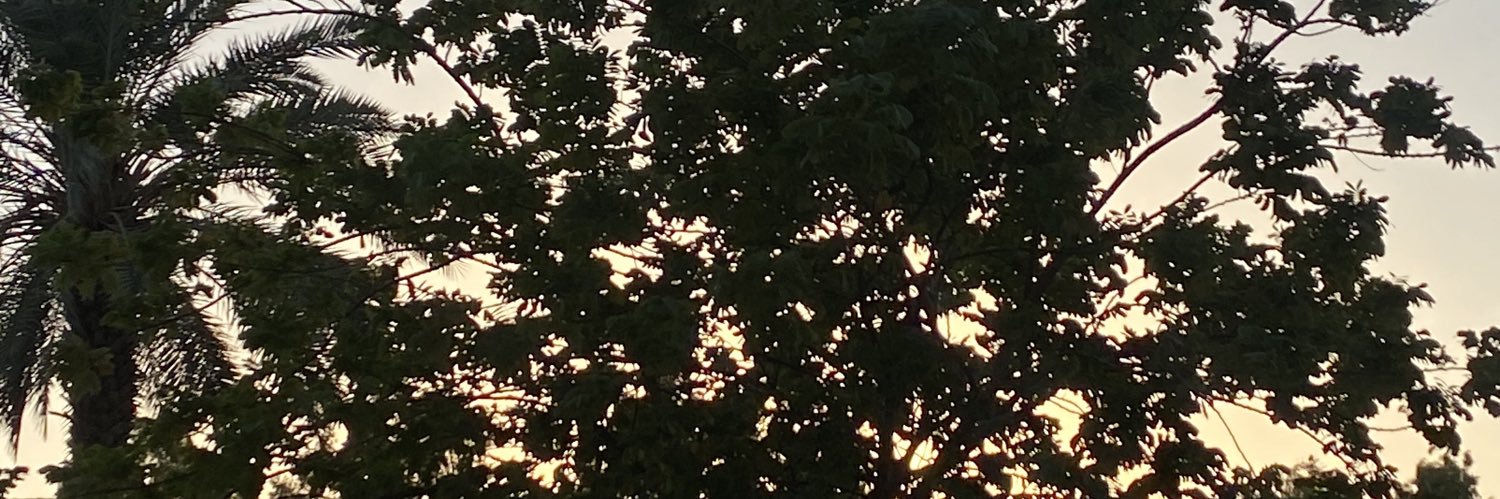 m1777_a's profile banner image