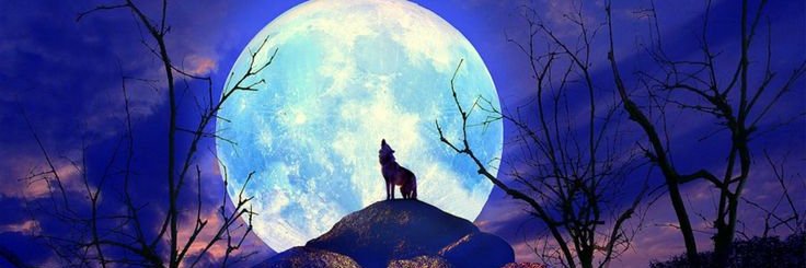 dorathompson12's profile banner image
