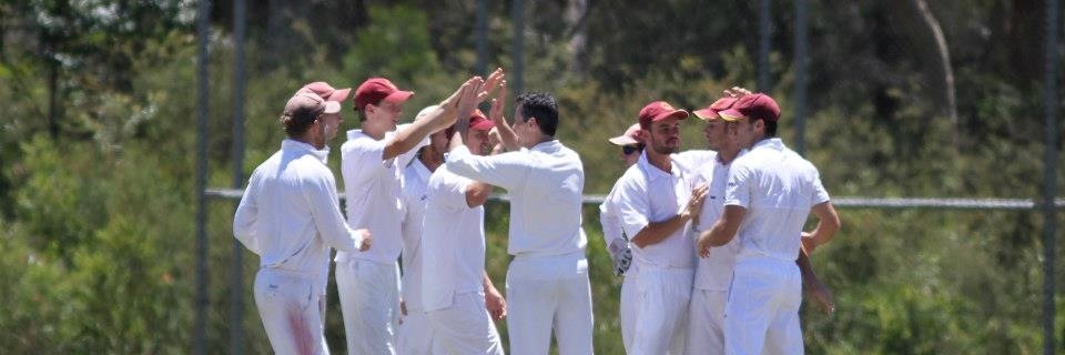 TMCC_Bellbirds's profile banner image