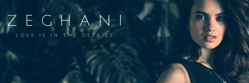 Zeghani's profile banner image