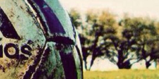 fdomate13's profile banner image
