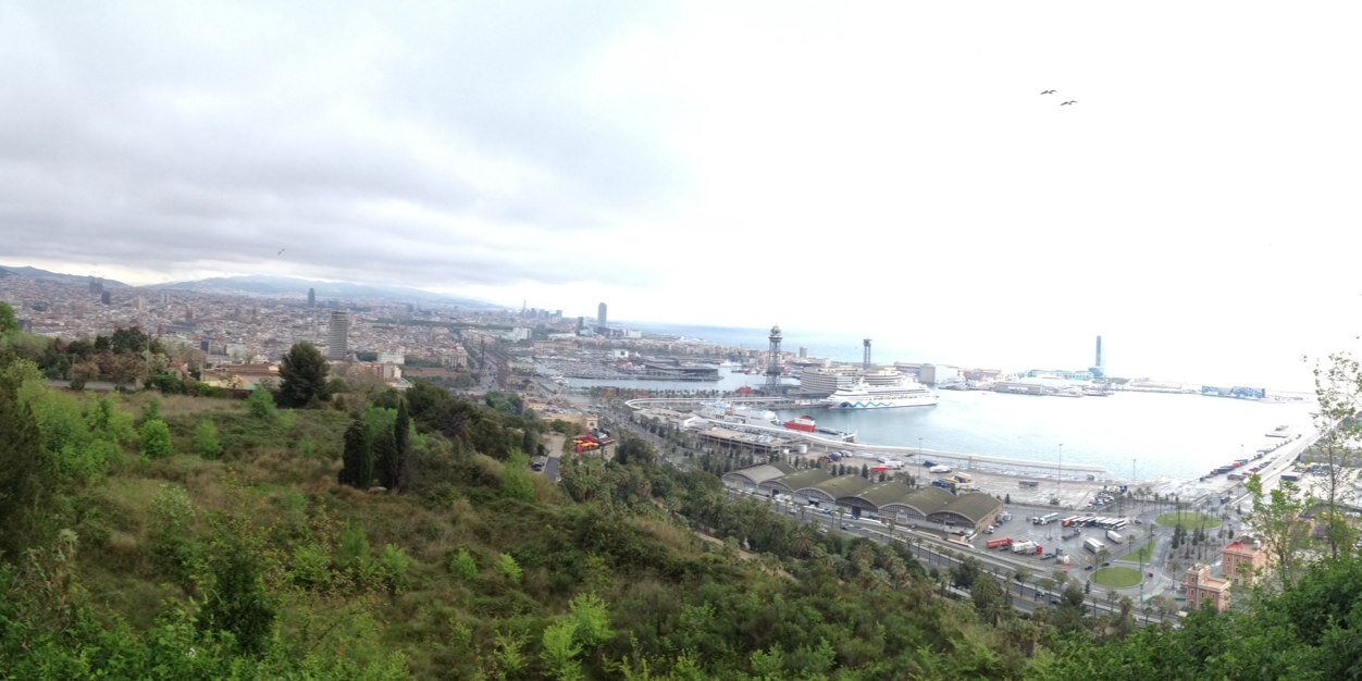 Braeden Taylor banner